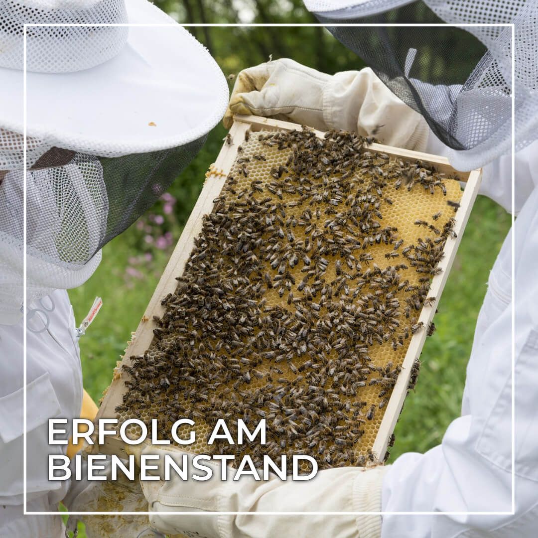 Erfolg am Bienenstand - aber wie?